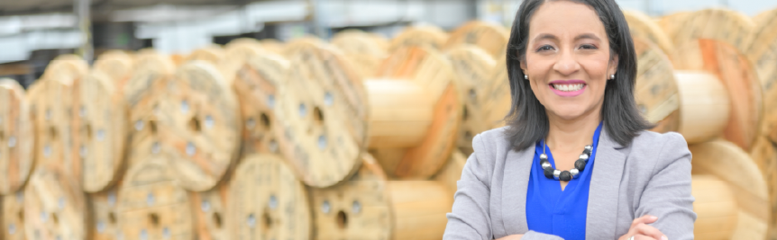 Banner de Vendedor de proyectos de distribuidor de Prysmian